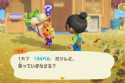 どうぶつの森やってて思ったけどカブの売買