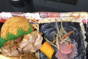【悲報】夕飯に197円弁当の半額品を手に入れたんだが、勝利感すごくてwwwwwwww（画像あり）
