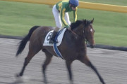 【競馬】何で日本の馬ってしょっちゅう落鉄してんの？