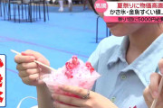 かき氷・金魚すくいも値上がり　夏祭りに“物価高”直撃…祭り1回に5000円必要？