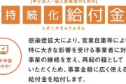 持続化給付金「不正受給した」相談急増　簡素な手続き悪用