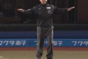 プロ野球審判の慢心対策に誤審をしたのに認めず後日誤審と判明したら罰金1000万でいいだろ