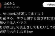 【悲報】たぬかな「VTuberに嫉妬してるかって？当たり前やろ、なんで顔も出さずに億稼ぐねんw」