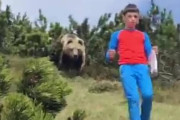 ハイキング中に遭遇したクマが少年を「追跡」、動画が話題　イタリア