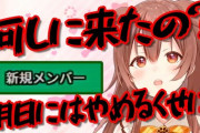 誰がメンバーって意外とVtuber側から把握されてるんよな