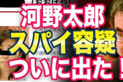 ネトウヨ「河野太郎は中国のスパイなんだあああ」ワイ「じゃあなんで安倍晋三は河野太郎を防衛大臣にしたの？」
