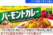 ハウス食品「バーモントカレー」「マロニーちゃん」「フルーチェ」など203品目値上げ 今年5月以降