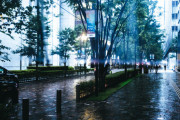 仕事が連日夜遅くに終わり、しかもその日はミスして上司には怒られ、かなり落ち込んでいた日の帰りは大雨。