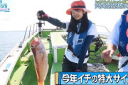 【日向坂46】ひなのが釣ったアマダイのサイズ、マジで記録的なものだったwwww