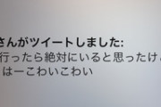 【NMB48】和田海佑さんがTwitter誤爆、ストーカー被害を告白か？