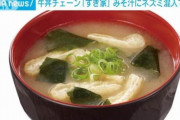 【朗報】すき家の『ねずみ味噌汁』事件、ねずみさんの混入経路が明らかにｗｗｗ