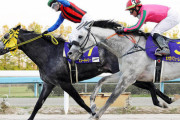 JBCクラシック地方馬初制覇！地方馬の時代やってきた