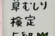 実際草むしり検定5級ってどの位の難易度なんだ？