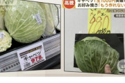 【朗報】キャベツの価格、銀行の手数料並に落ち着く
