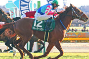【競馬予想】[1]第76回東京新聞杯(GⅢ) /2026