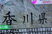 【悲報】香川県「スマホ・ゲームのせいで子供が脂質異常になった」　（画像あり）