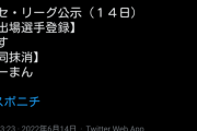 【悲報】日刊スポーツ、滑るｗｗｗｗｗｗｗｗｗｗｗ