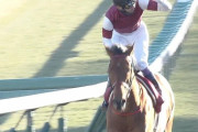 【競馬】武豊「安田記念？モーリスの強さは次元が違うから（苦笑）」