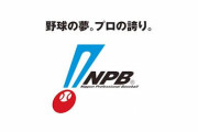 プロ野球選手会、一律減俸NO「120試合分の評価はしていただきたい」