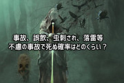 落雷、飛行機事故、誤飲など、不慮の事故などで死ぬ確率はどれくらい？