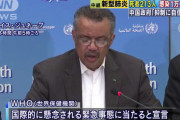 【悲報】WHO「ひょっとしたら確認されている感染者は氷山の一角かも知れない…」