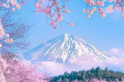 海外「フジヤマ！サクラ！これが日本の正月だ！あまりにも美しい」富士山と桜、まさに日本の風景を外国人も称賛！