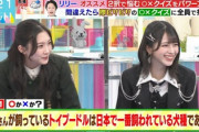 【櫻坂46】これ見ると谷口愛季とイコラブ佐々木舞香さんの共演って...