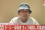 【速報】ガーシー、逮捕へ