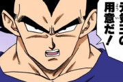 ベジータ「ブウを倒すために地球のみんなで力を合わせて元気玉を作るぞ！」←こいつｗｗｗｗ