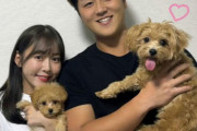 プロ野球選手の結婚相手に元アイドルが増えた理由