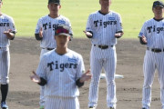 阪神藤川球児監督、秋季キャンプ辛口評価「目立った選手？いない。この中に中心になれる選手はいない」
