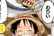 【緊急】ルフィ｢死刑が怖い。震えて眠れない｣