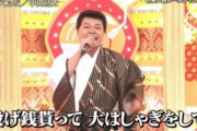 【悲報】Vtuberさん、テレビにボロクソ言われてしまう