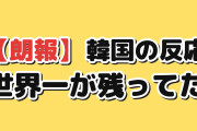 【朗報】韓国人「世界1位の商品を数えたら、日本がまだこんなに残ってた」