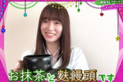 【欅坂46】守屋麗奈さんお嬢様だった！？