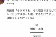 【画像】Twitter「薬剤師は袋に薬入れるだけw」薬剤師「ならサッカーはボールを蹴るだけですよね」