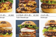 【画像】秋葉原のチーズバーガー専門店、ガチでうまそうｗｗｗ