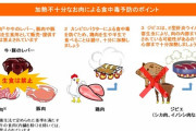 病気に詳しいj民来てくれ、食中毒で熱が39.0℃出ることってあるのか？