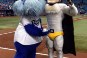【悲報】筒香さん所属、レイズさんのマスコット...