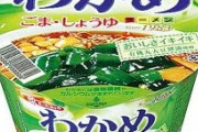 わかめラーメン(具はわかめと胡麻しか入ってません)←こいつが天下取れた理由