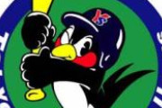 ヤクルトスワローズ「怪我人少なければ優勝します。多かったら5位か6位です」←この球団