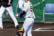 阪神・青柳がシート打撃登板　打者６人に３安打　ロハスにバックスクリーン弾浴びる