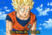 【ドラゴンボール】外人が描いた『カカベジ』のかわいいイラストｗｗｗ（画像あり）