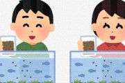 新禁止カード「魚飼ってそう」