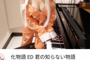【画像】例のピアノYoutuber、遂に限界突破してしまうｗｗｗｗｗｗ