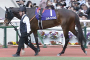 【競馬予想】[2]第29回マーメイドステークス(GⅢ) /2024