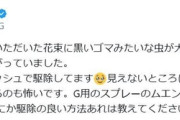 松井珠理奈「花束恐怖症になりました」...自宅で惨事