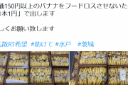 【乞食速報】バナナが1本1円 ！！！！！！！！