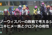 スノーウィスパーの敗戦で考えるシラユキヒメ一族とクロフネの相性