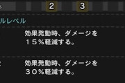 【MHRise】なんで「精霊の加護」をレベル2スロにしたの【モンハンライズ】